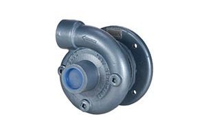 CDS John Blue Centrifugal Pumps for Eletric Motors